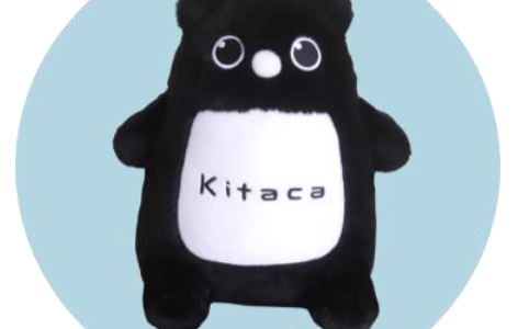「Kitaca のエゾモモンガ」のぬいぐるみが発売！記念すべき第1弾はちょこんとおすわりする姿がチャーミングなぬいぐるみ