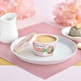 ハーゲンダッツ GREEN CRAFT ミニカップ『黒ごま＆きなこ』が9月1日(火)より発売！豆乳ベースのご褒美“和”スイーツ