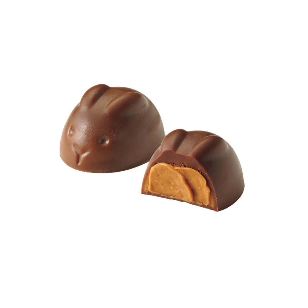 ロイズの『クッキー＆チョコボックス[オータム]』-ロイズバニーショコラ[ジャンドゥーヤ]