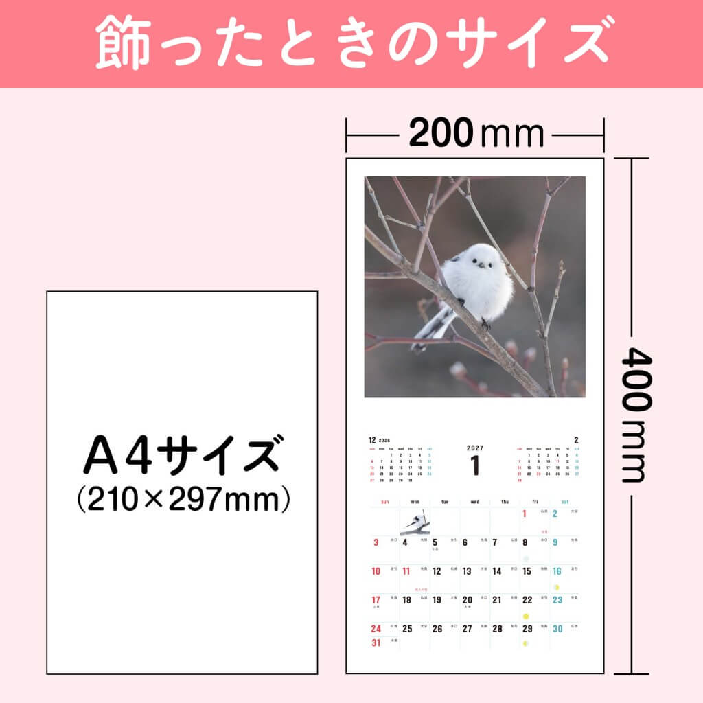 『もふもふふわふわシマエナガ カレンダー 2027』-飾ったときのサイズ