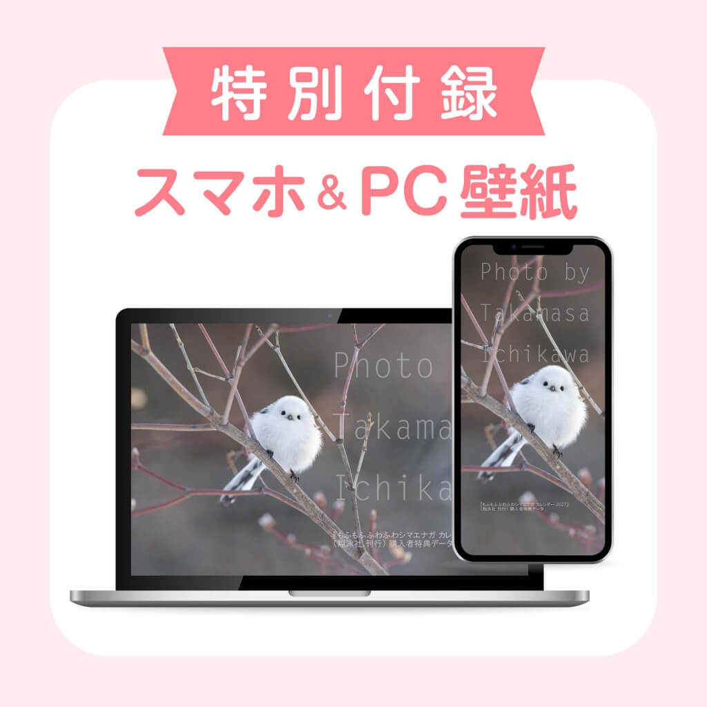 『もふもふふわふわシマエナガ カレンダー 2027』-付録