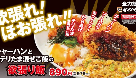 とんかつ専⾨店「かつや」にて一杯に旨さをこれでもかと詰め込んだ『チャーハンとテリたま混ぜご飯の欲張り飯』が9月11日(金)より発売！