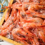 北海道海鮮 個室居酒屋 うおっと 魚人