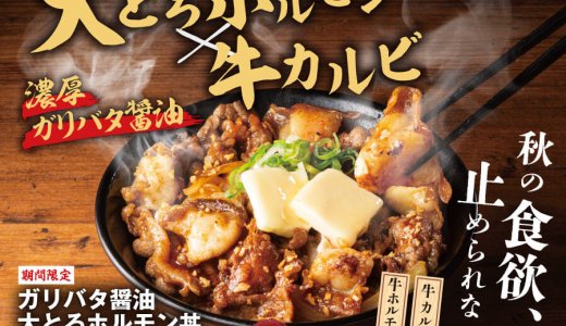 札幌駅前にもあるすた丼屋にて大とろホルモン×牛カルビを秘伝のガリバタ醤油で味わう『ガリバタ醤油大とろホルモン丼』が10月1日(木)より発売！