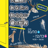 北海道博物館 第28回企画テーマ展『大解剖！あなたの知らない骨の世界』が10月10日(土)より北海道博物館で開催！